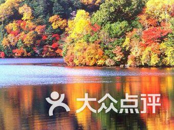 像素世界大冒险