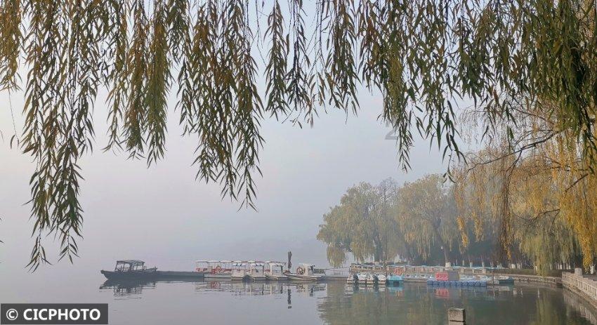 跨国婚姻离婚率真的会更高吗？游戏画面