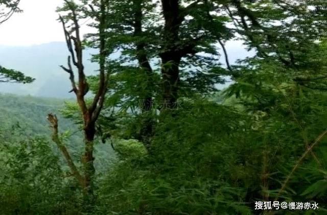 重男轻女，该怎么办？游戏画面