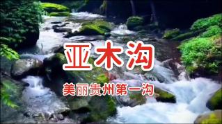 逃离普通的房屋