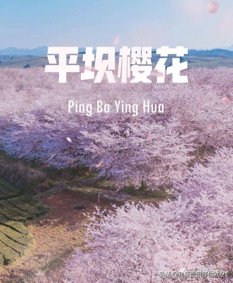 艾利时尚博客