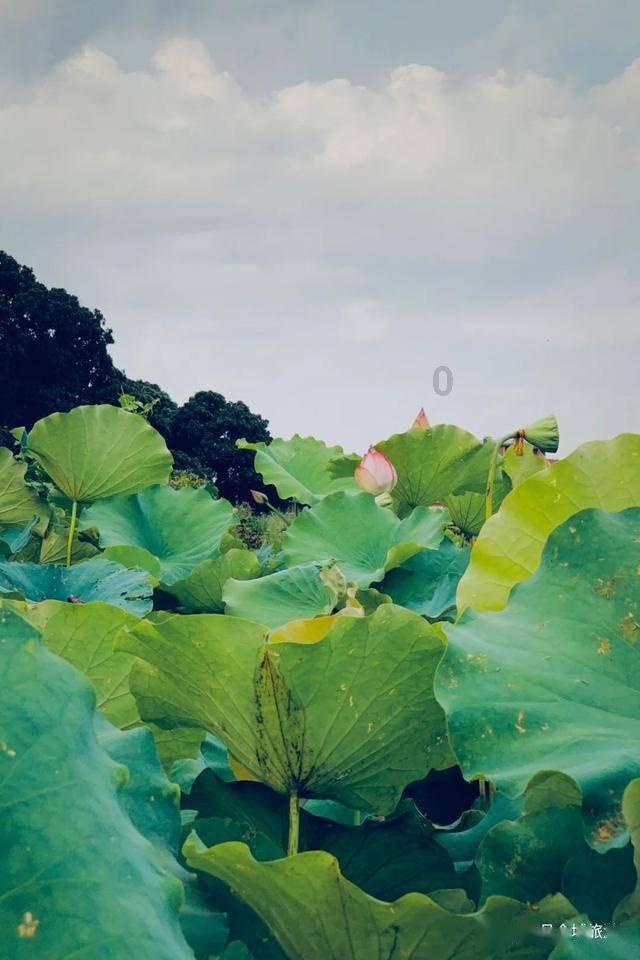 丧尸围城