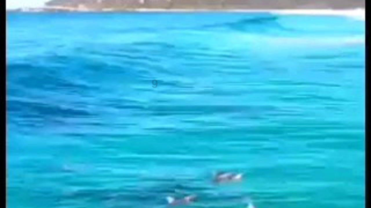 逃离陈旧房2