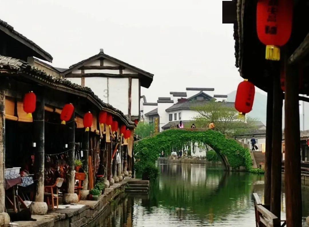 迷你忍者