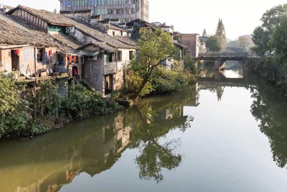 丧尸围城