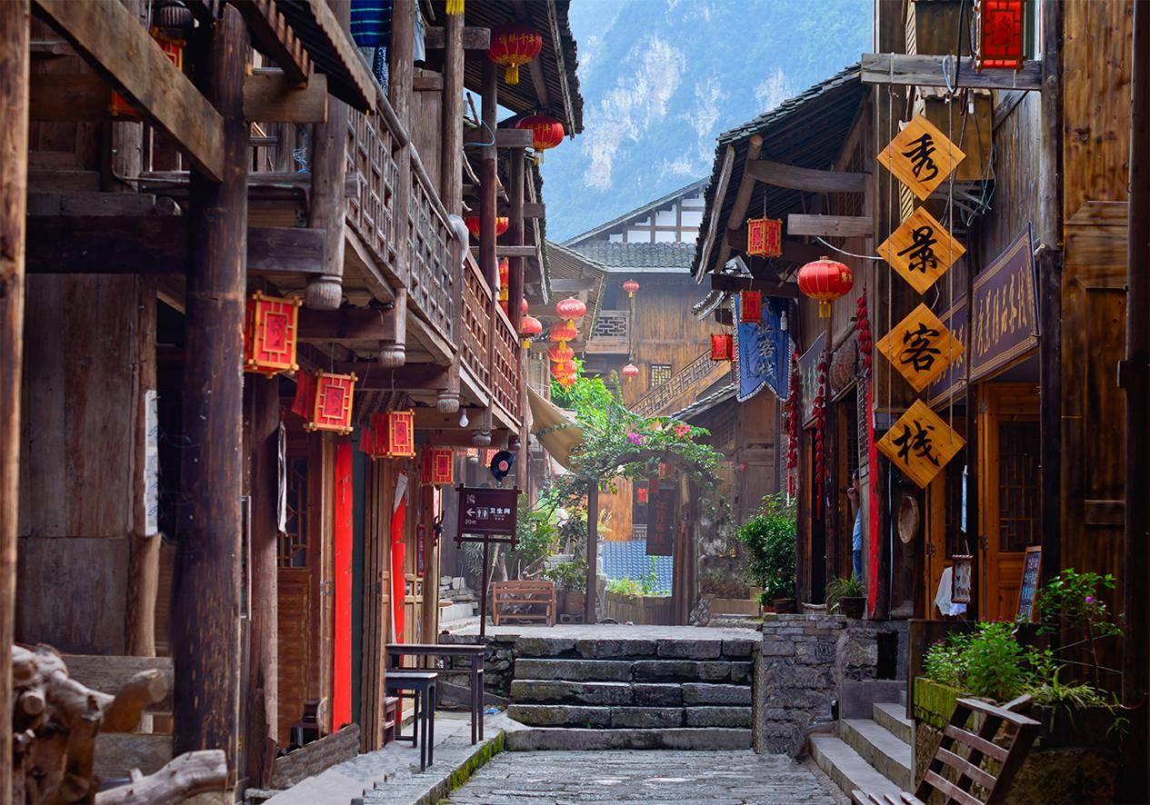 动物帮帮忙保卫家园