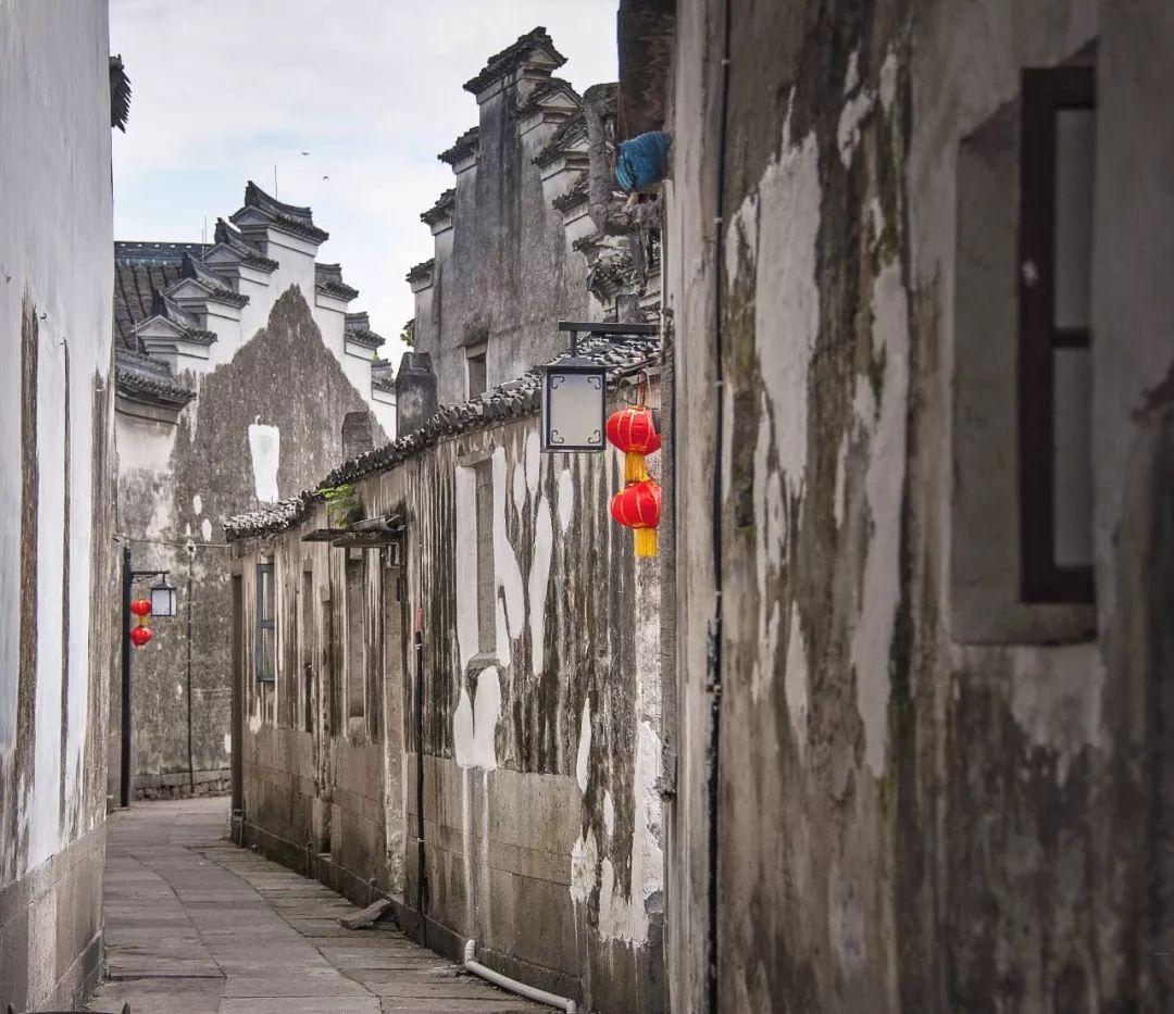 奥日与黑暗森林