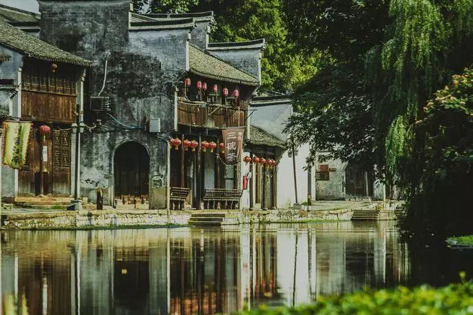 岱岳区卫生健康安全生产专业委员会2024年第一季度视频会议召开