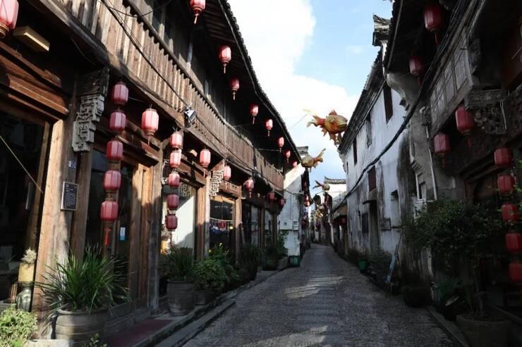 逃出绿色公寓